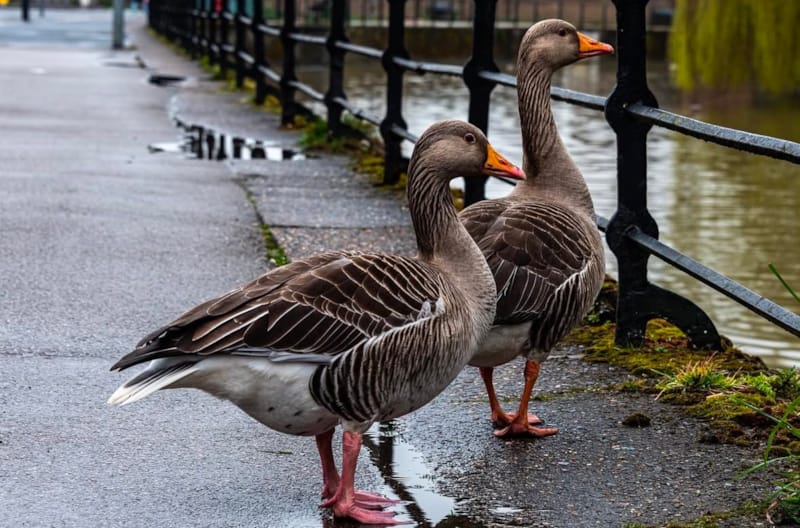 Our rainy day guide
